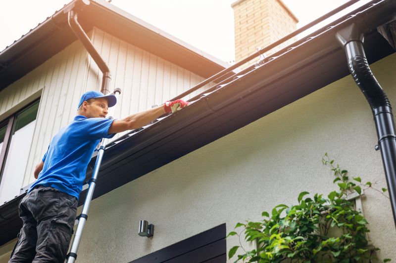 Gutter and Roof Maintenance